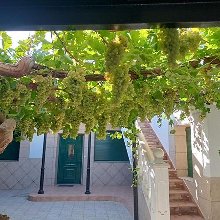 Casa Rural La Del Alba Seria Argamasilla de Alba Zewnętrze zdjęcie